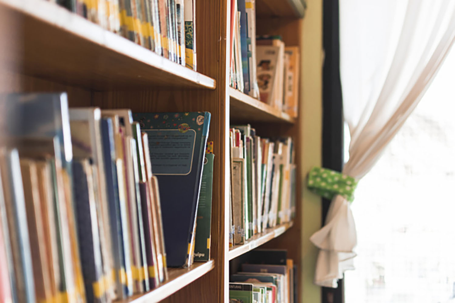 共用收納空間用來放置共用書籍、玩具等共同使用的物品;